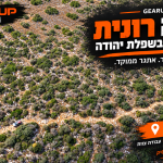 מעלה רונית