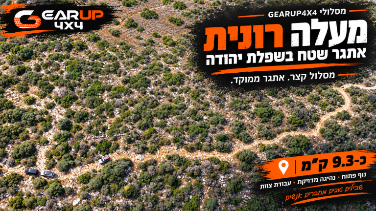 מעלה רונית