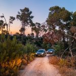 בין שקיעה לכוכבים: מסע שטח מלטרון ליער צרעה