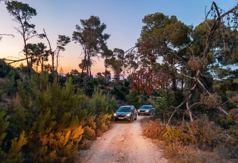 בין שקיעה לכוכבים: מסע שטח מלטרון ליער צרעה