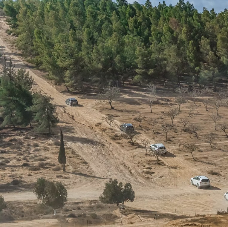 בין יער למדבר: הרפתקת ג'יפים קיצית בצפון הנגב