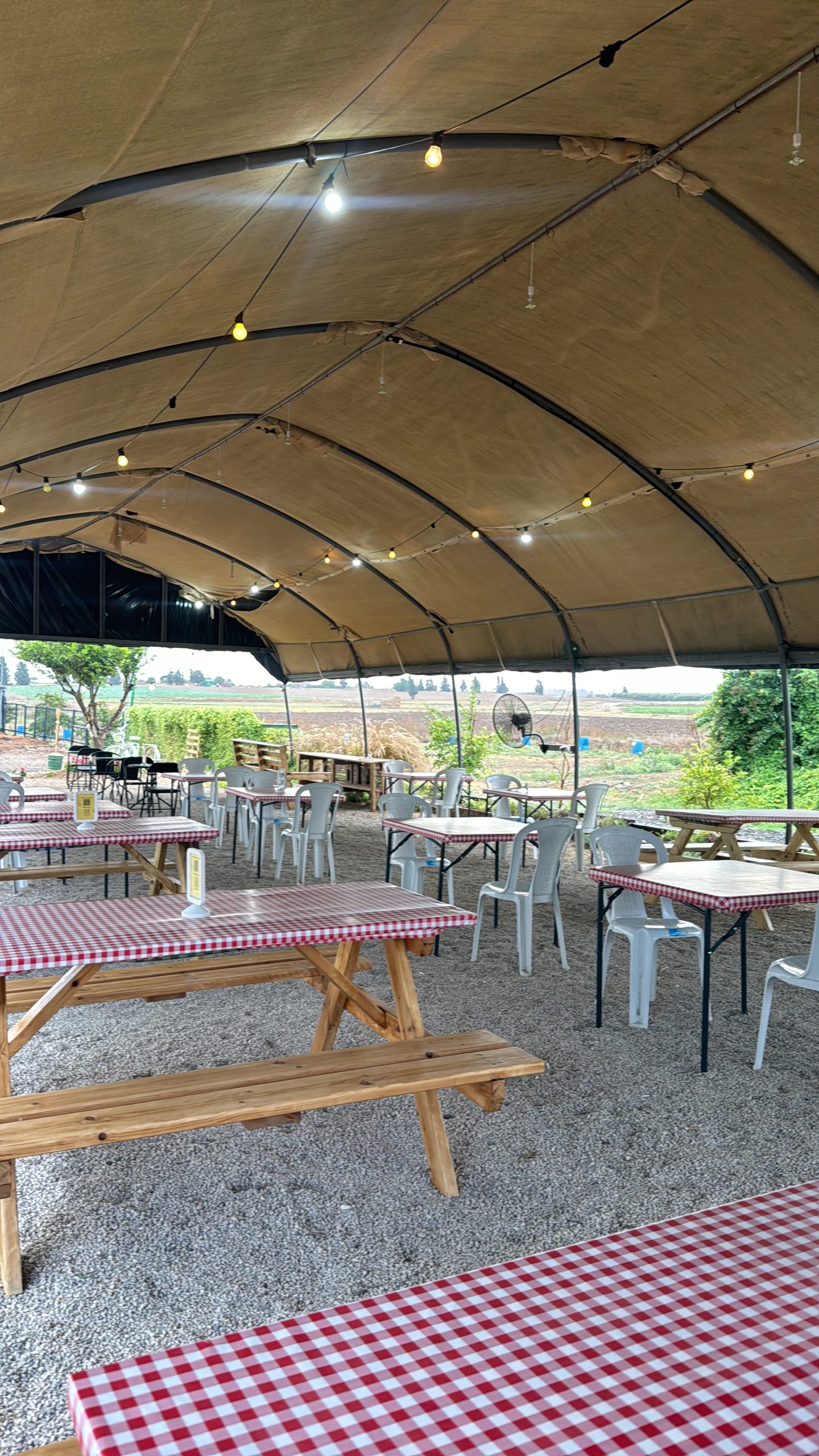 בר במושב BAR BAMOSHAV